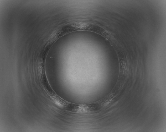 X0000052630612200507011322