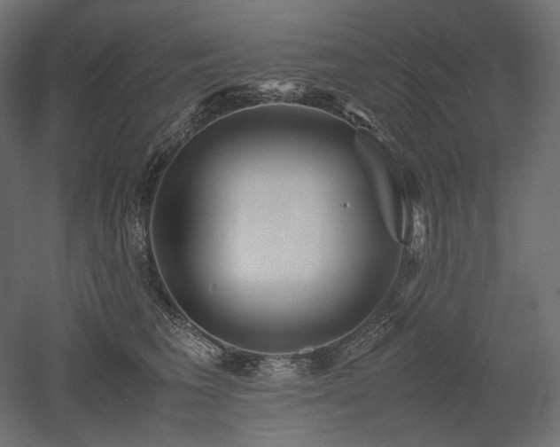 X0000052630613200507011322