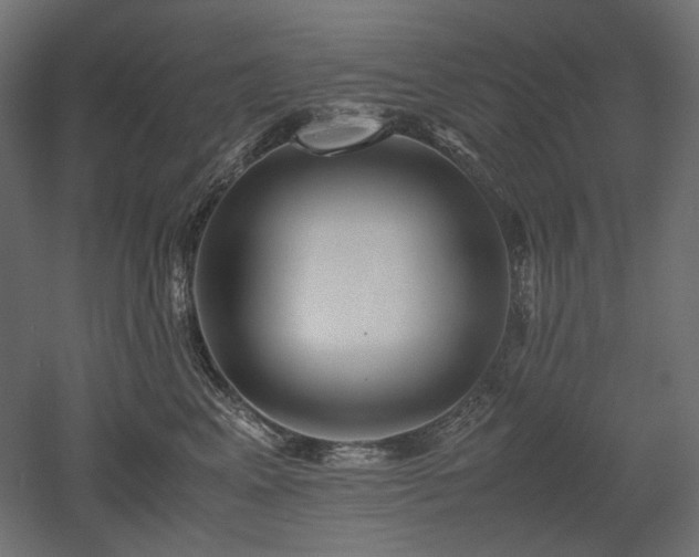 X0000052630617200507011322