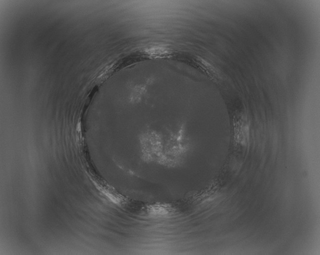 X0000052630618200507011322