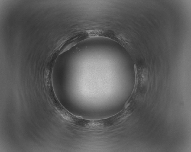 X0000052630619200507011322