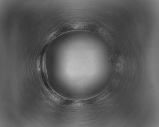 X0000052630620200507011322