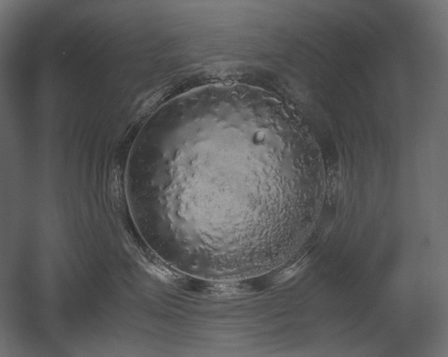X0000052630623200507011321