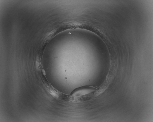 X0000052630624200507011321