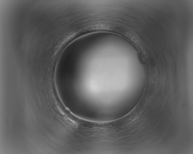 X0000052630625200507011321