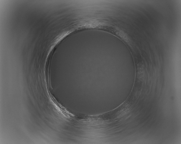 X0000052630626200507011321