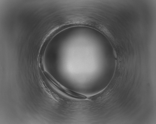 X0000052630628200507011321