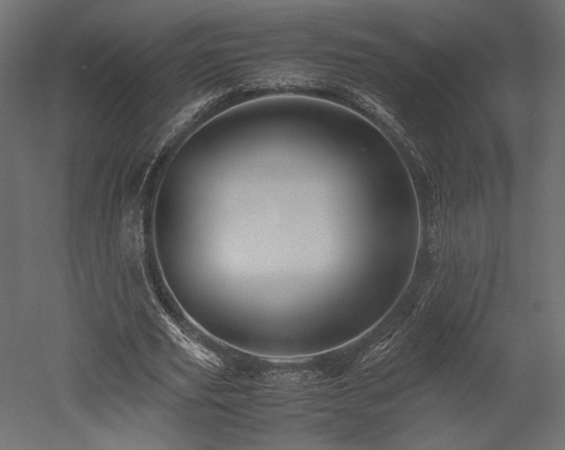 X0000052630629200507011321