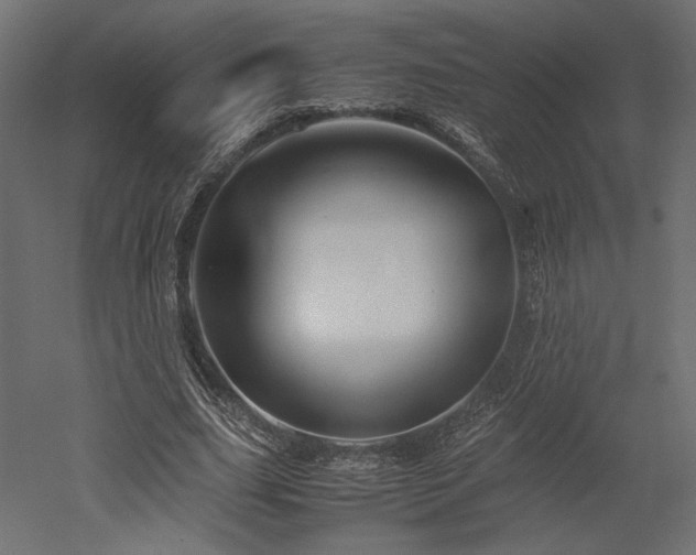 X0000052630631200507011321