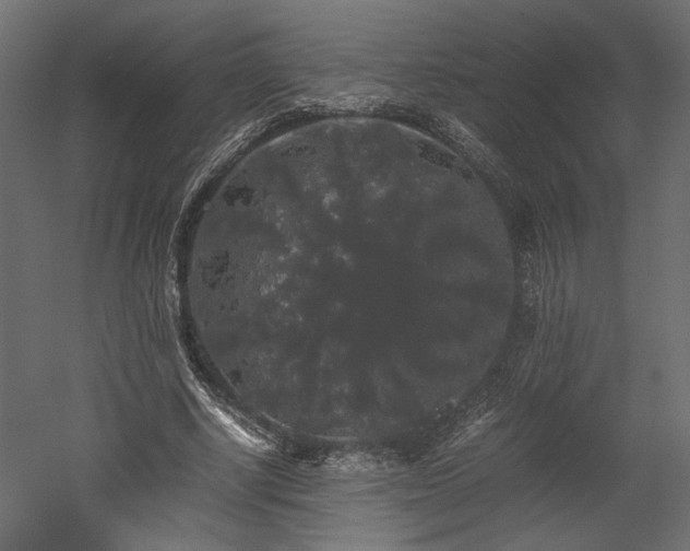 X0000052630634200507011321