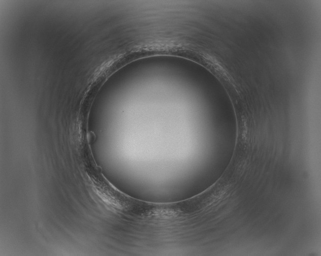 X0000052630636200507011321