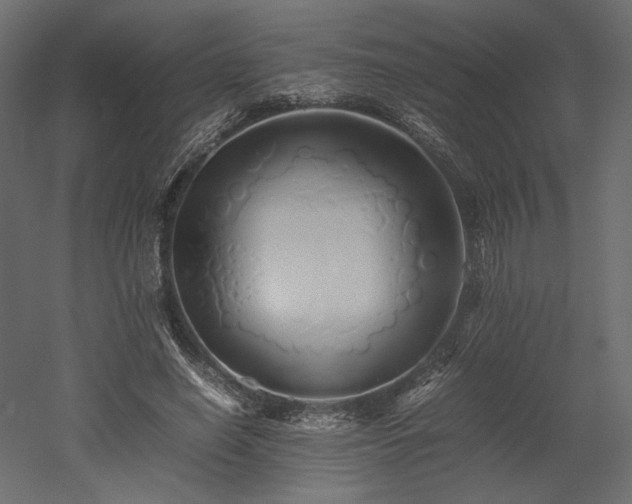 X0000052630638200507011321