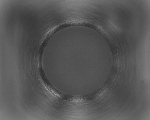 X0000052630640200507011321