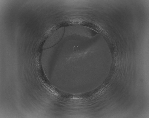 X0000052630641200507011321