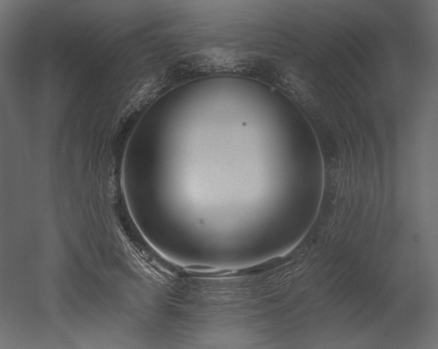 X0000052630642200507011321