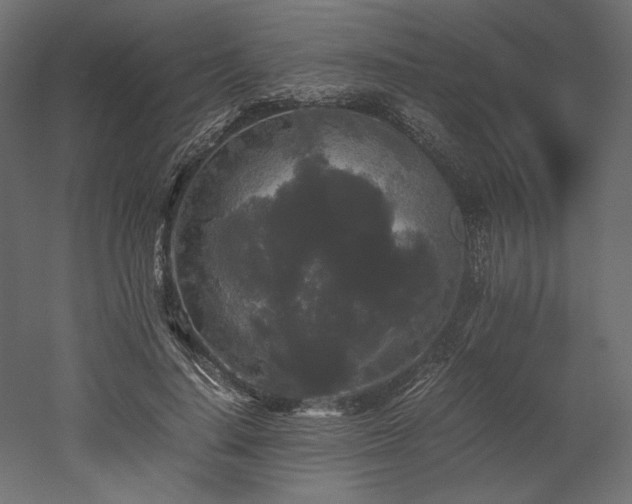 X0000052630644200507011321