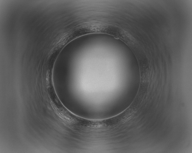 X0000052630646200507011321