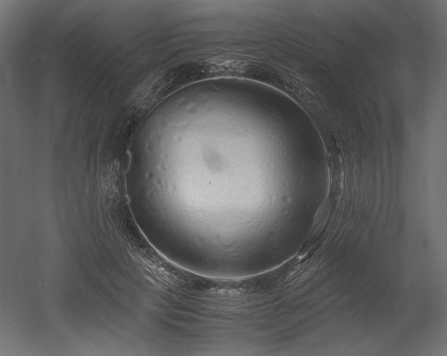 X0000052630649200507011321