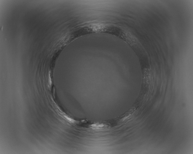 X0000052630650200507011321