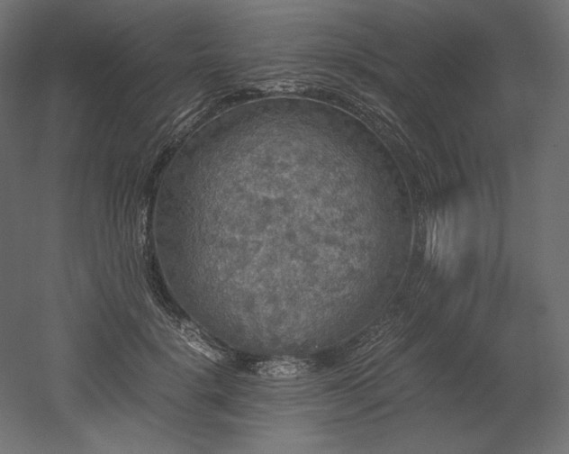 X0000052630652200507011321