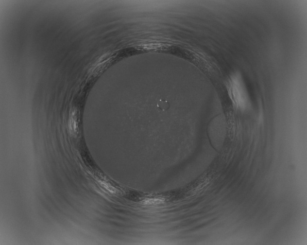 X0000052630653200507011321