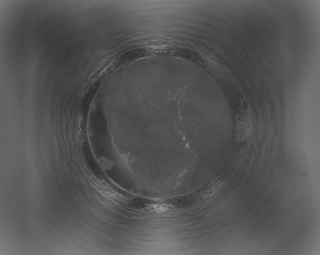 X0000052630654200507011321