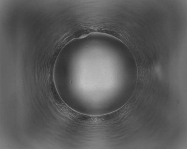 X0000052630656200507011321