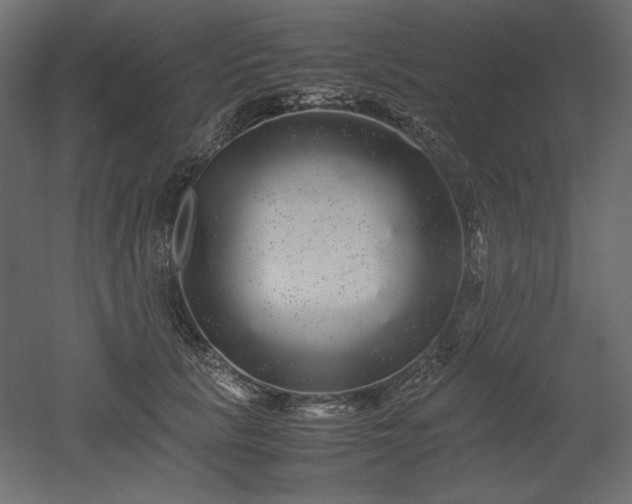 X0000052630657200507011321