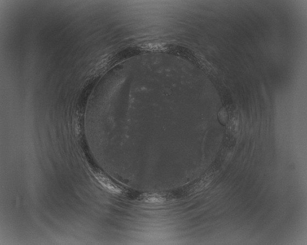 X0000052630658200507011321