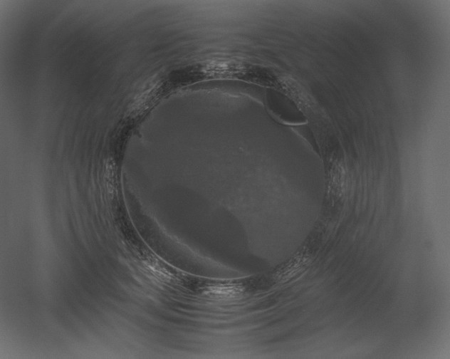 X0000052630659200507011321