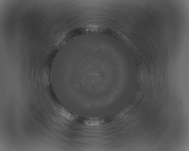 X0000052630661200507011321
