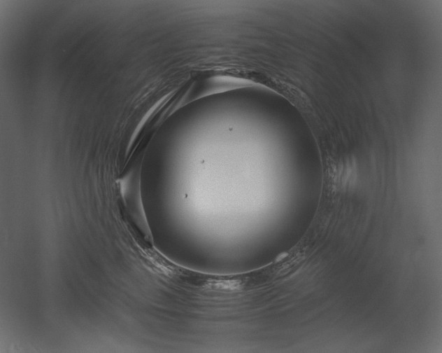 X0000052630665200507011321