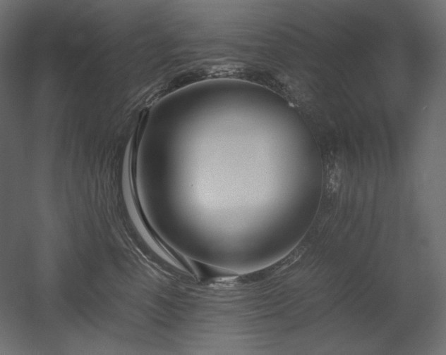 X0000052630666200507011321