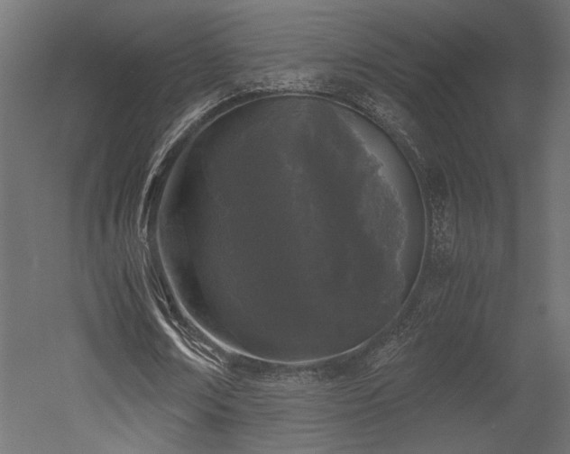 X0000052630674200507011321