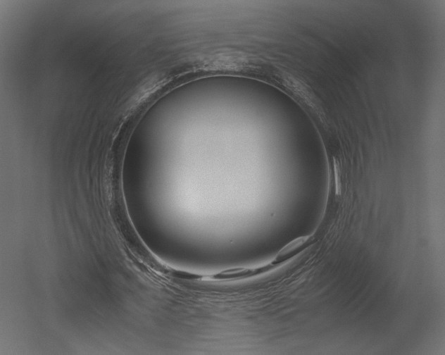 X0000052630675200507011321