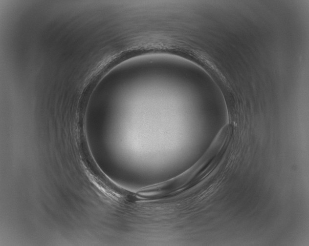 X0000052630677200507011321