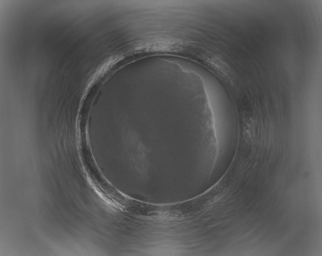X0000052630678200507011321