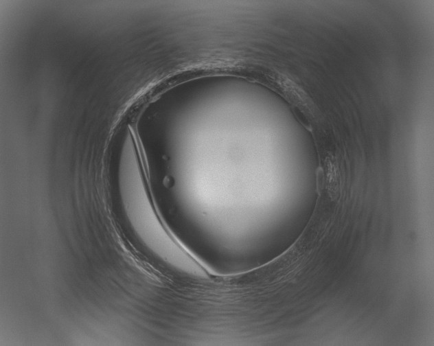 X0000052630684200507011320