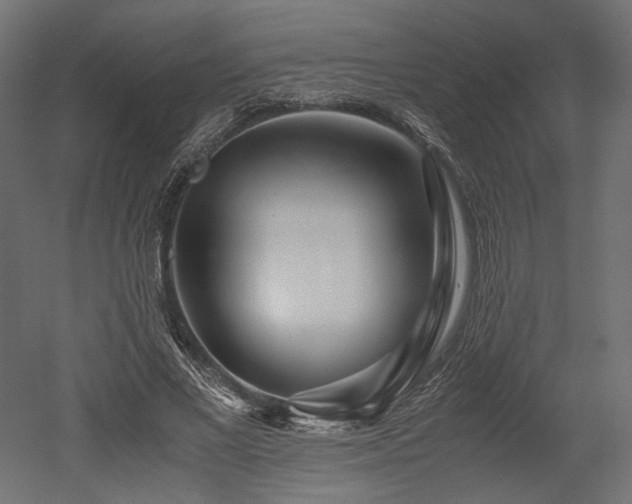 X0000052630685200507011320