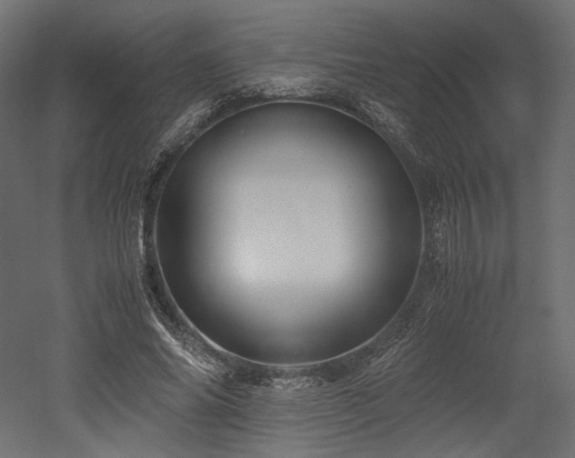 X0000052630686200507011320