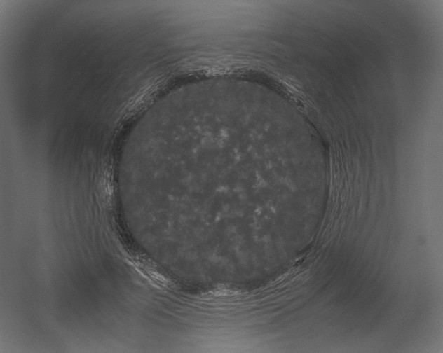 X0000052630691200507011320