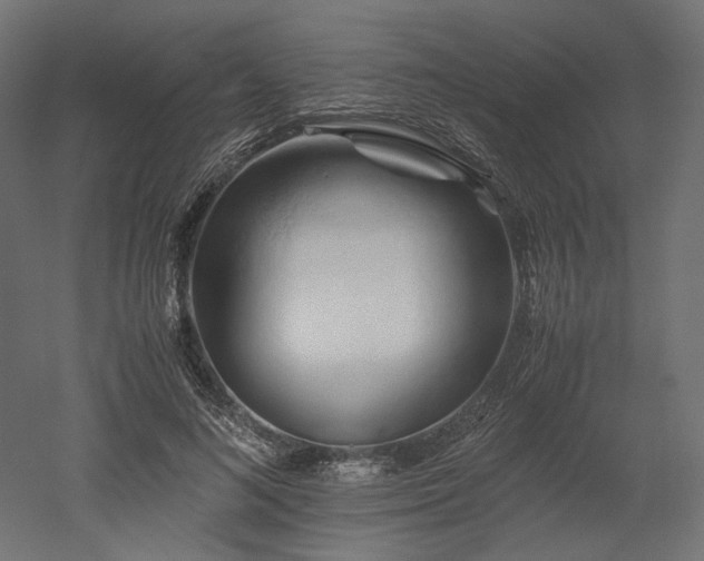 X0000052630692200507011320