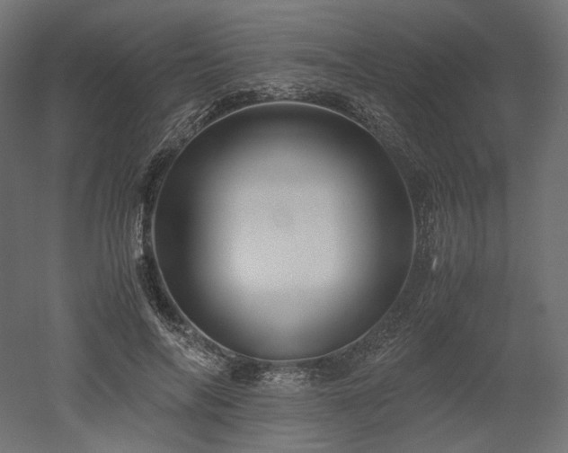 X0000052630694200507011320