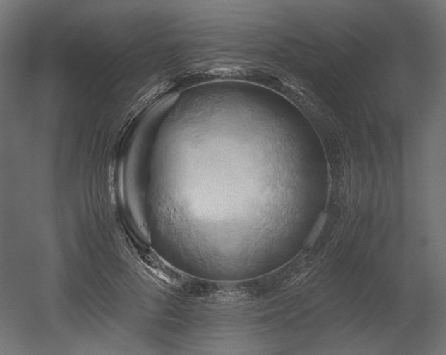 X0000052630696200507011320
