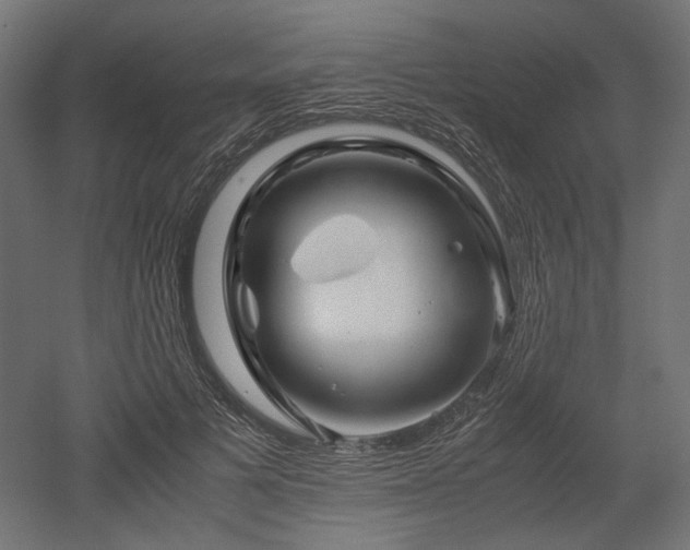 X0000052630697200507011320