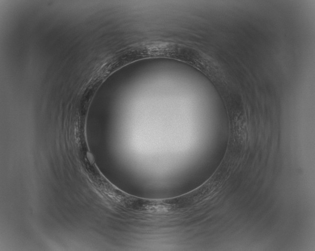 X0000052630698200507011320