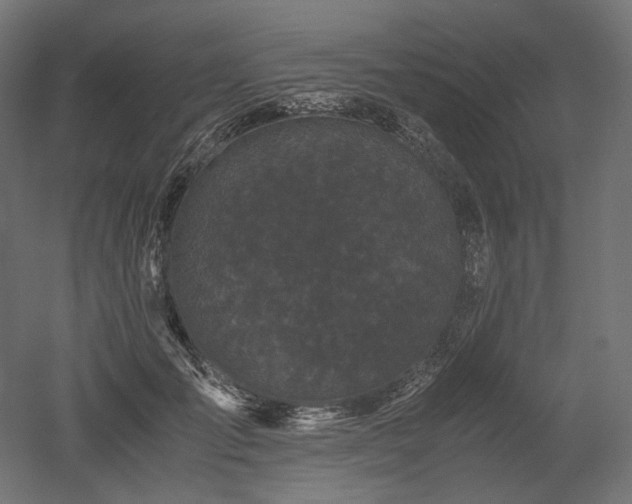 X0000052630701200507011320