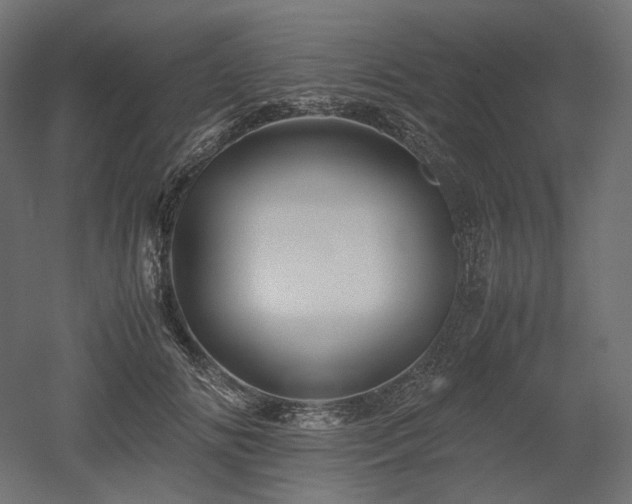 X0000052630702200507011320