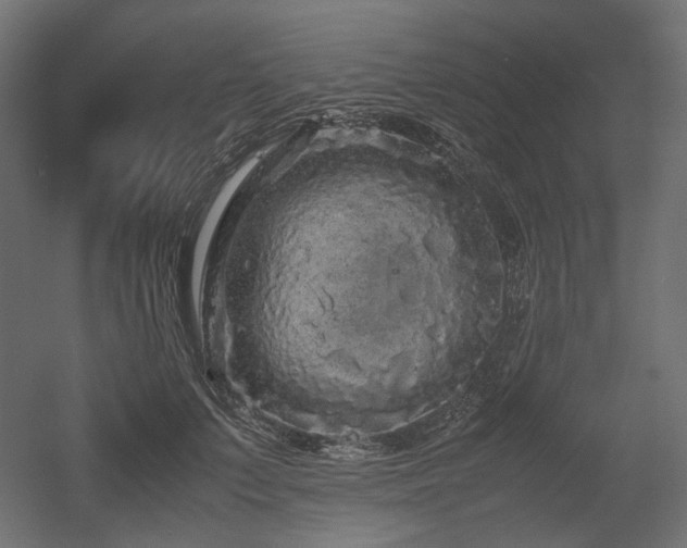 X0000052630703200507011320