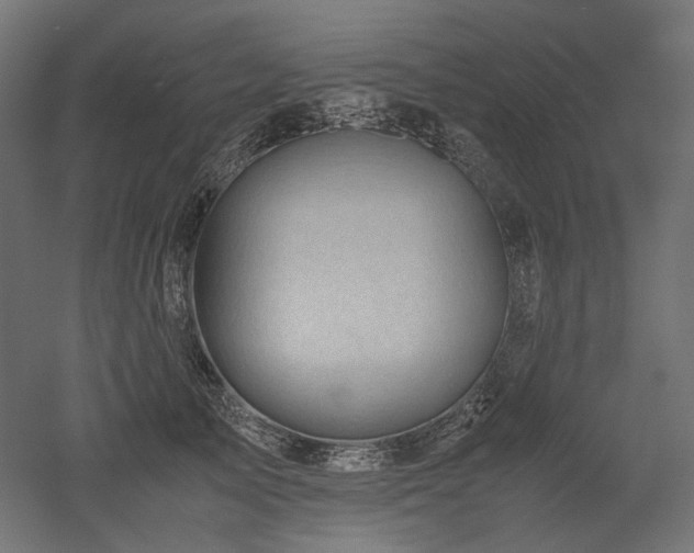X0000052630705200507011320